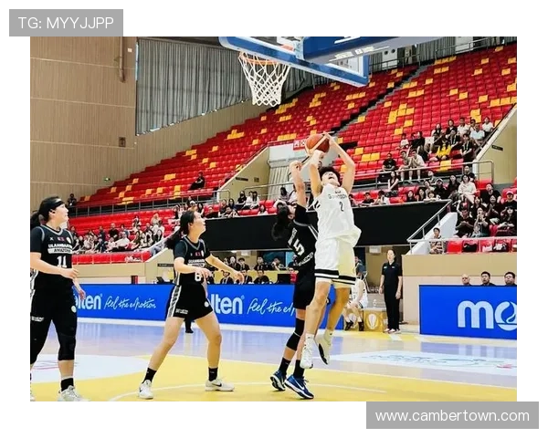 中美篮球历史性交流开启新篇女篮迎来蓬勃发展新机遇